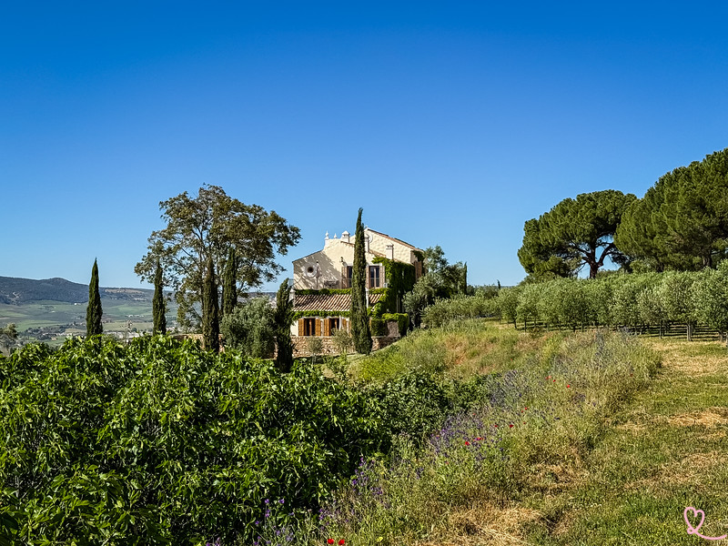 Discover the Hotel Cortijo LA Organic our favorite hotel in Ronda