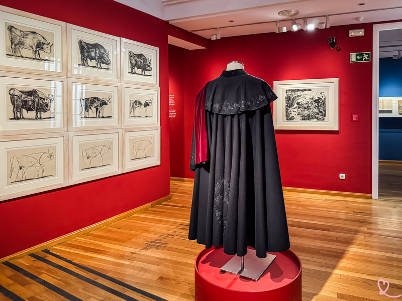 Ontdek de geheimen van Picasso's jeugd in zijn geboortehuis in Malaga