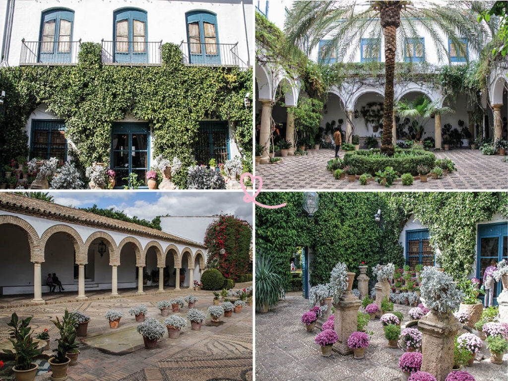 visita al palacio de viana cordoba