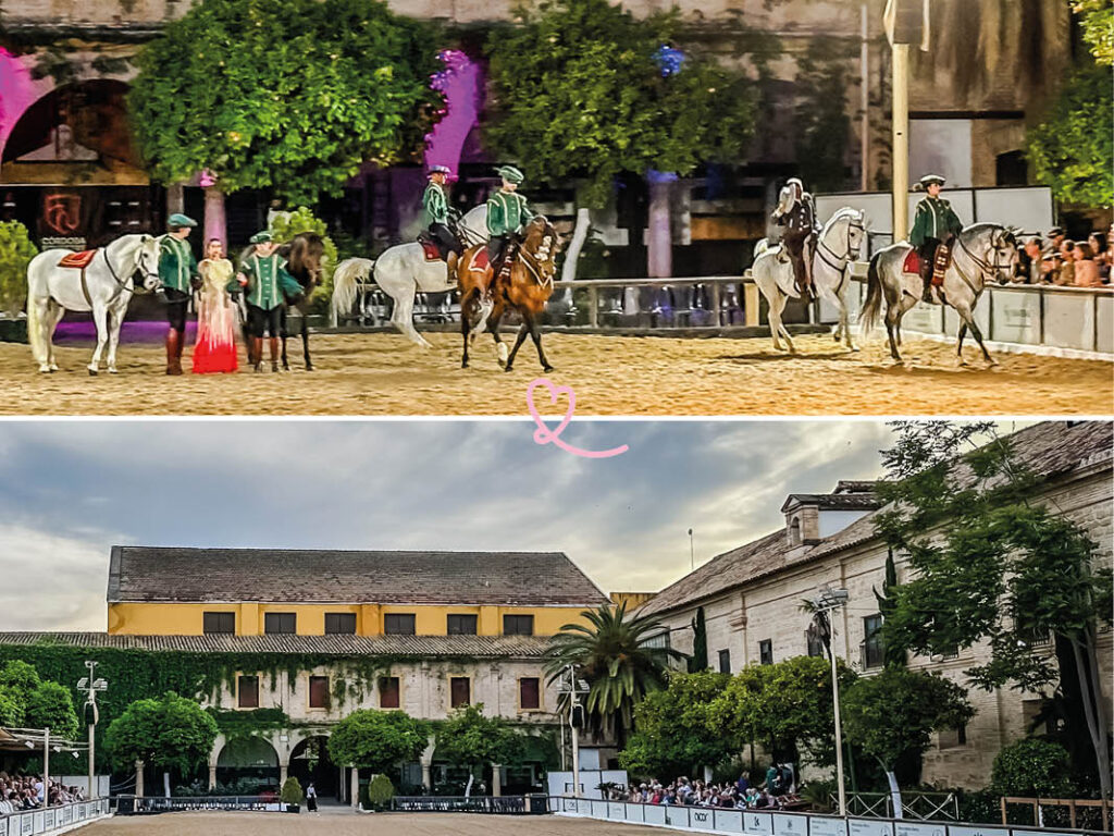 visiter-ecuries-royales-cordoue